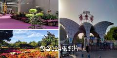 乌鲁木齐植物园驴友相册