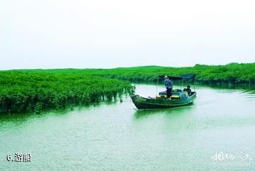 福建漳江口红树林国家级自然保护区-游船照片