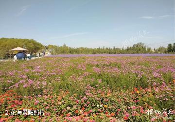 庫爾勒體育公園-花海照片