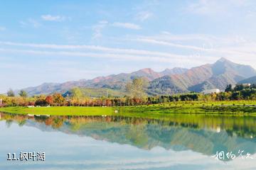 西安周至秦岭国家植物园-枫叶湖照片