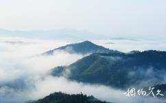 湖南鷹嘴界國家級自然保護區旅遊攻略之日出雲海