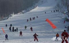 阿城玉泉威虎山森林公园旅游攻略之滑雪场