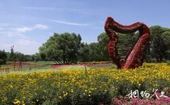 北京海淀公園旅遊攻略之淀園花谷