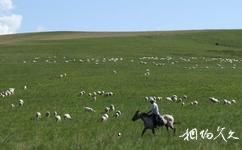 興安蒙古包旅遊村旅遊攻略之牧羊人