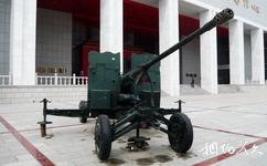 內蒙古民族解放紀念館旅遊攻略之軍事武器