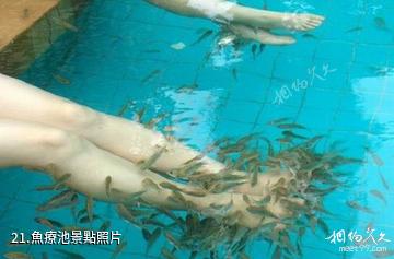 丹東五龍背溫泉-魚療池照片