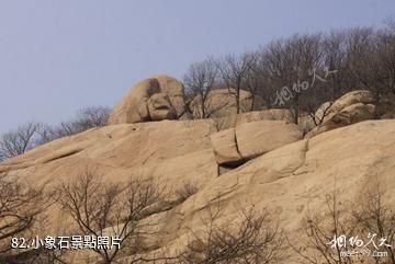 泰安徂徠山國家森林公園-小象石照片
