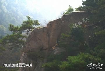 泰安徂徠山國家森林公園-龍頭峰照片