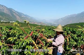 高黎貢勐赫小鎮-「中國咖啡第一村」新寨村照片