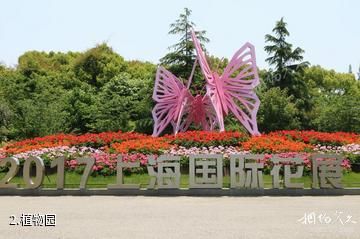 上海植物园-植物园照片