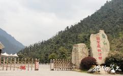 湖南郴州莽山国家森林公园旅游攻略之莽山