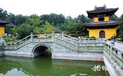 杭州慧因高麗寺旅遊攻略之放生池