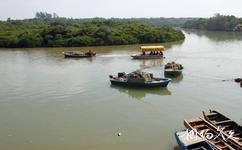 东寨港红树林保护区旅游攻略之游船河道