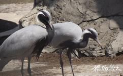 佳木斯水源山公園旅遊攻略之百鳥園景區