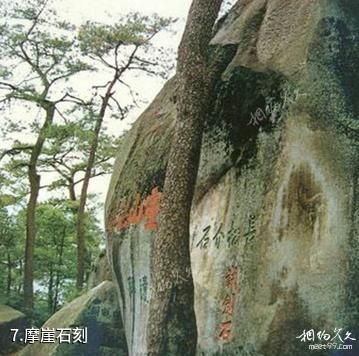 景宁草鱼塘森林公园-摩崖石刻照片