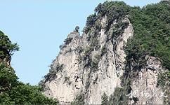 山西陽城蟒河獼猴國家級自然保護區旅遊攻略之孔雀峰