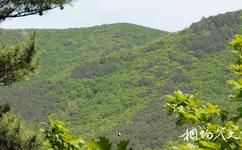 吉林天佛指山国家级自然保护区旅游攻略之保护区