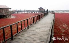盘锦红海滩旅游攻略之红海滩码头