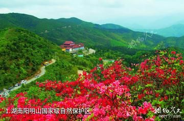 湖南阳明山国家级自然保护区照片