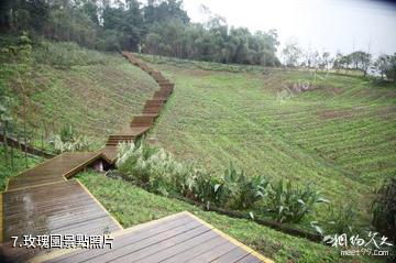 瀘州納溪花田酒地旅遊景區-玫瑰園照片