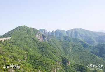 新乡龙卧岩景区-自然植被照片