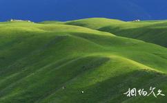 新疆喀拉峻草原旅游攻略之起伏的线条
