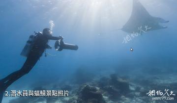 伊利特夫人島海底風光-潛水員與蝠鱝照片