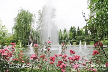 隴南金徽酒文化生態旅遊景區-夏景照片