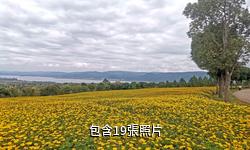 彌勒太平湖森林小鎮驢友相冊