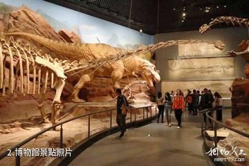 雲南澄江化石地自然博物館-博物館照片
