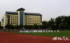 南京农业大学校园概况之卫岗校区体育操场