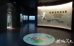 广西壮族自治区博物馆旅游攻略之瓷美如花