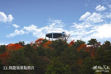 陝西延安黃陵國家森林公園-飛龍嶺照片