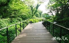 济州岛EcoLand生态主题公园旅游攻略之生态之桥站