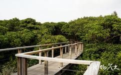 香港湿地公园旅游攻略之红树林浮桥