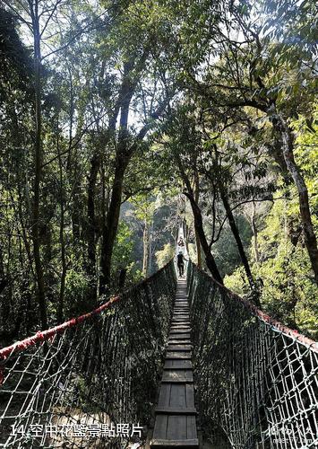 屏邊大圍山風景區-空中花籃照片