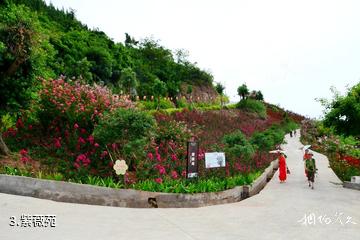 重庆开州盛山植物园-紫薇苑照片