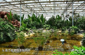 西安灃東現代都市農業博覽園-南方植物館照片