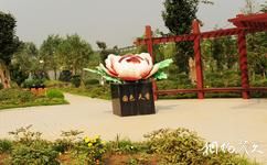 中国绿化博览园旅游攻略之牡丹园