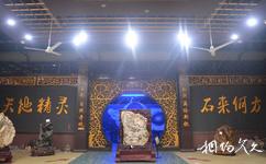 上海游龍石文化科普館旅遊攻略