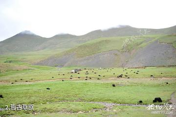 西藏哲古风景区-哲古草原照片