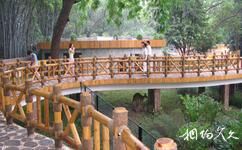 广州动物园旅游攻略之袋鼠馆