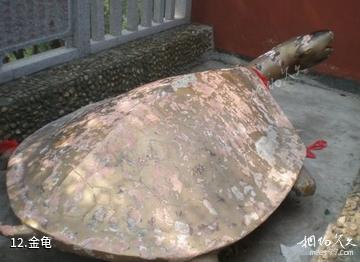 长沙石燕湖-金龟照片