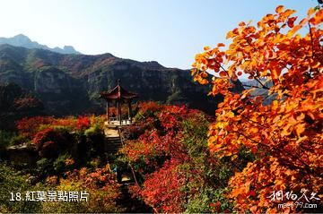 平山紫雲山風景區-紅葉照片
