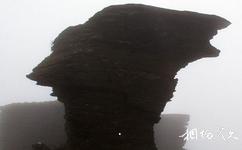 貴州梵凈山旅遊攻略之鯉魚石