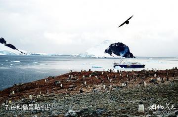 南極半島-丹科島照片