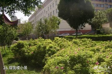 新疆大学-宿舍楼小景照片