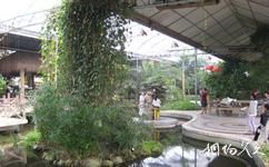 昌邑綠博園旅遊攻略之熱帶植物館
