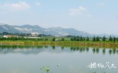 博山五陽湖生態旅遊攻略之五陽湖