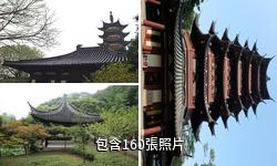 紹興應天塔驢友相冊